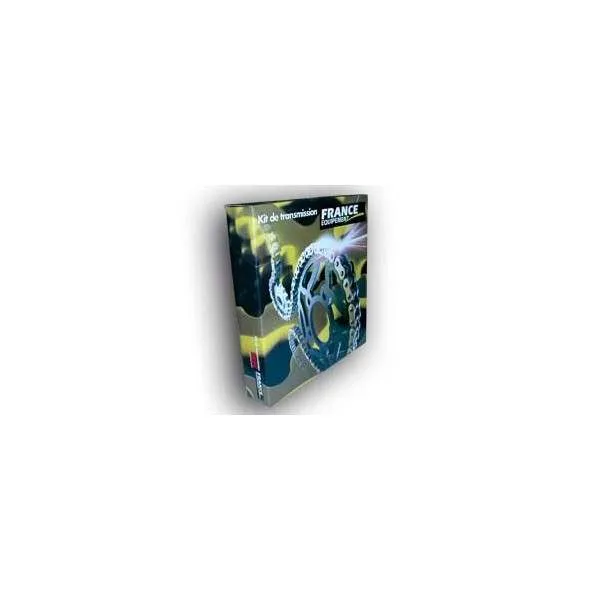 KIT CHAINE FE 510.TE '90/91 17X48 OR